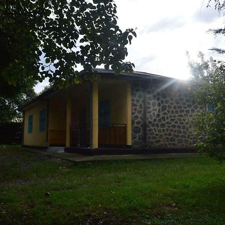 Chef Wondim Backpackers Hostel Гондер Екстериор снимка