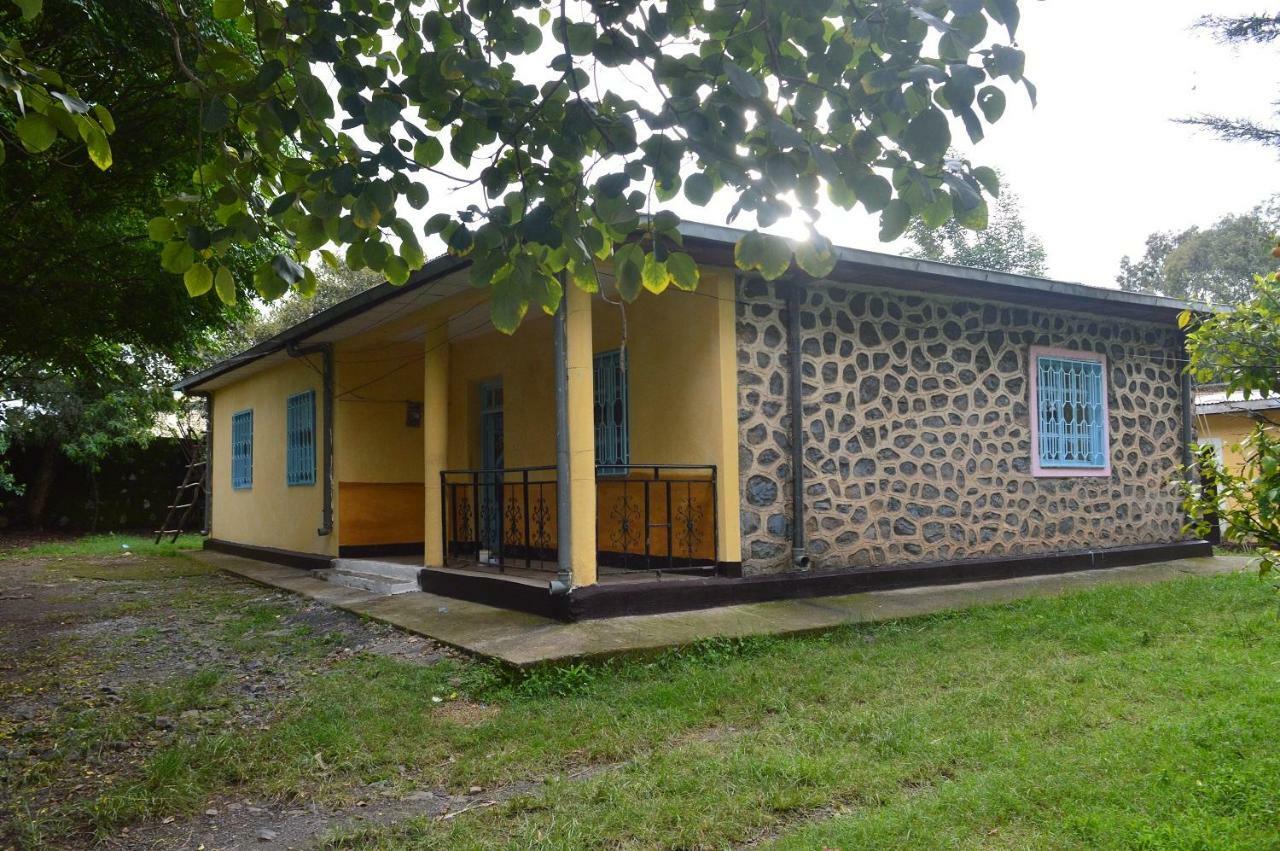Chef Wondim Backpackers Hostel Гондер Екстериор снимка